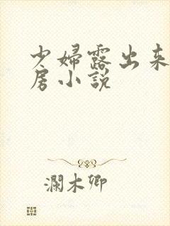 少妇露出来大乳房小说封面