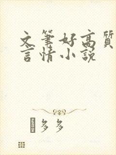 文笔好高质量的言情小说