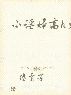 小淫妇高h文