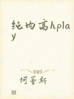纯肉高hplay