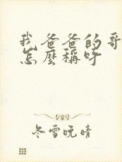 我爸爸的哥哥我怎么称呼