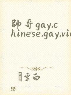 帅哥gay,chinese,gay,videos,gv,fees