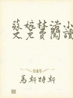 苏婉林浩小说全文免费阅读最新