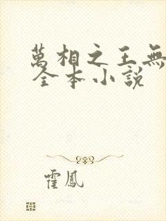 万相之王无弹窗 全本小说封面