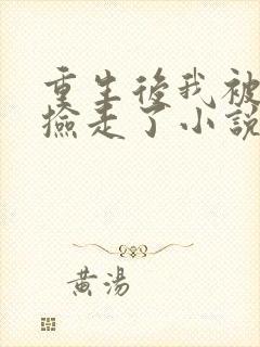 重生后我被太子捡走了小说