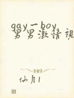 gay一boy男男激情视频