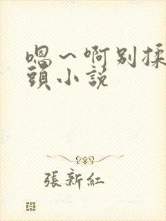 嗯～啊别揉我奶头小说