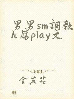 男男sm调教高h腐play文