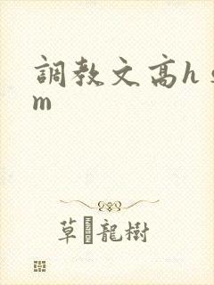 调教文高h sm