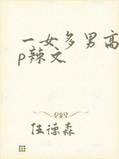 一女多男高hnp辣文