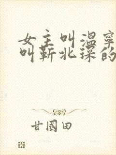 女主叫温宁男主叫靳北琛的小说