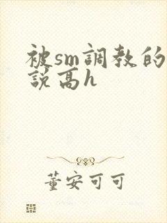 被sm调教的小说高h