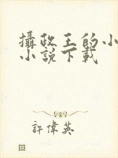 摄政王的小闲妻小说下载