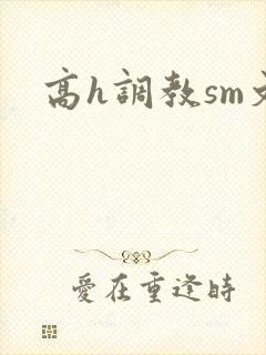 高h调教sm文