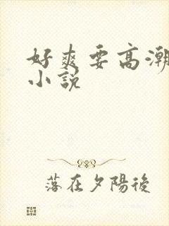 好爽要高潮了h小说