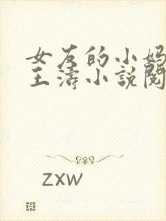 女友的小妈妈凤王涛小说阅读
