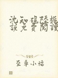 沈知砚陆栀夏小说免费阅读最新章节封面