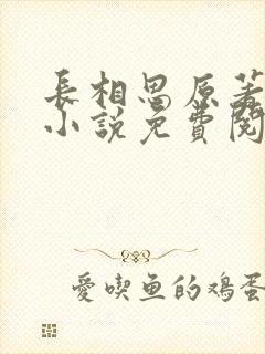 长相思原著全本小说免费阅读