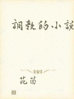 调教的小说高h封面