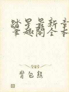 踏星最新章节 笔趣阁全本小说封面