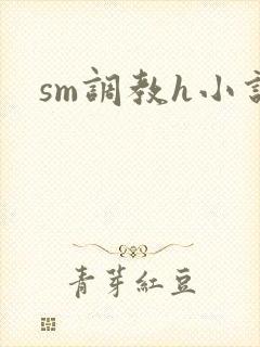 sm调教h小说