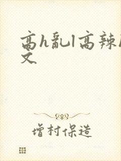 高h乱l高辣h文