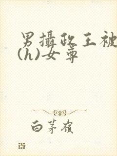 男摄政王被调教(h)女尊封面