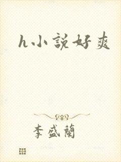 h小说好爽封面