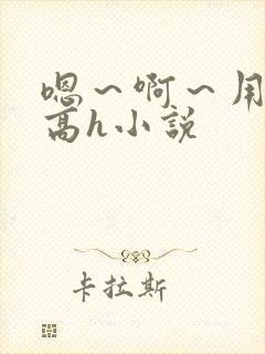 嗯～啊～用力～高h小说