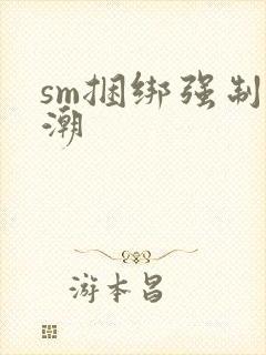 sm捆绑强制高潮