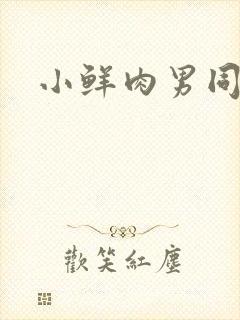 小鲜肉男同性恋