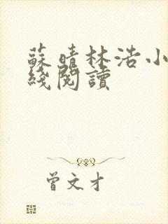 苏晴林浩小说在线阅读