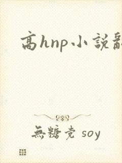 高hnp小说乱