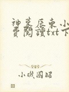 神墓辰东小说免费阅读txt下载封面