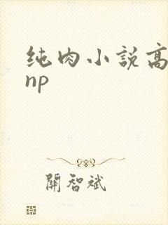 纯肉小说高h np