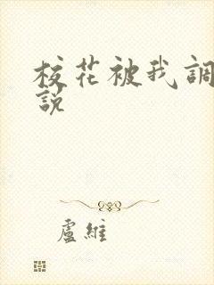 校花被我调教小说封面