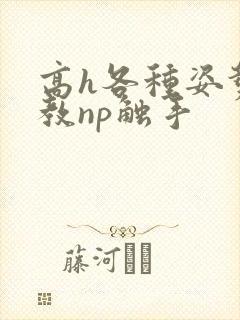 高h各种姿势调教np触手