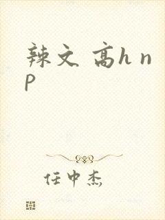 辣文 高h np