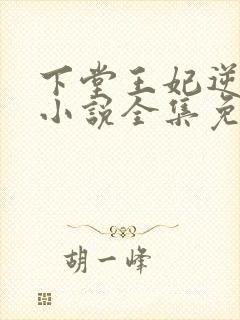 下堂王妃逆袭记小说全集免费看