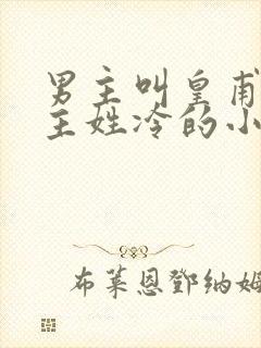 男主叫皇甫绝女主姓冷的小说