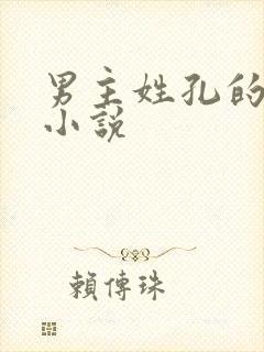 男主姓孔的现代小说封面