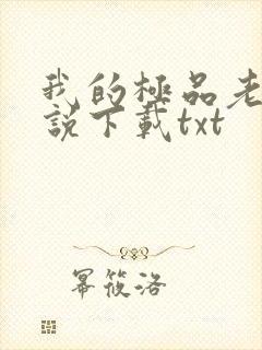 我的极品老婆小说下载txt封面