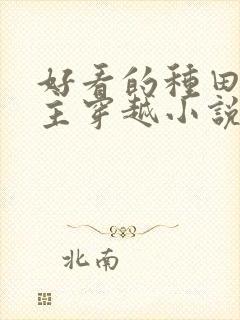 好看的种田文女主穿越小说封面