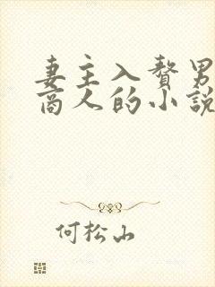 妻主入赘男主是商人的小说