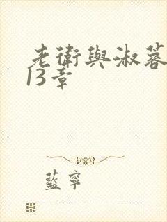 老卫与淑蓉小说13章