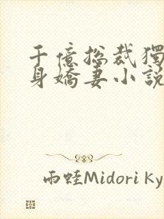 千亿总裁独宠替身娇妻小说封面