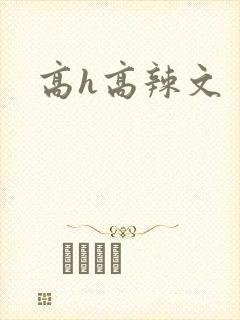 高h高辣文