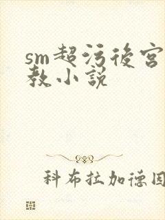 sm超污后宫调教小说