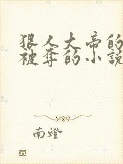 狠人大帝的初次被夺的小说