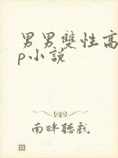 男男双性高干np小说